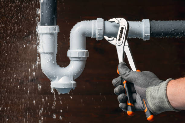 Professional Plumbing technician working in Viola, DE